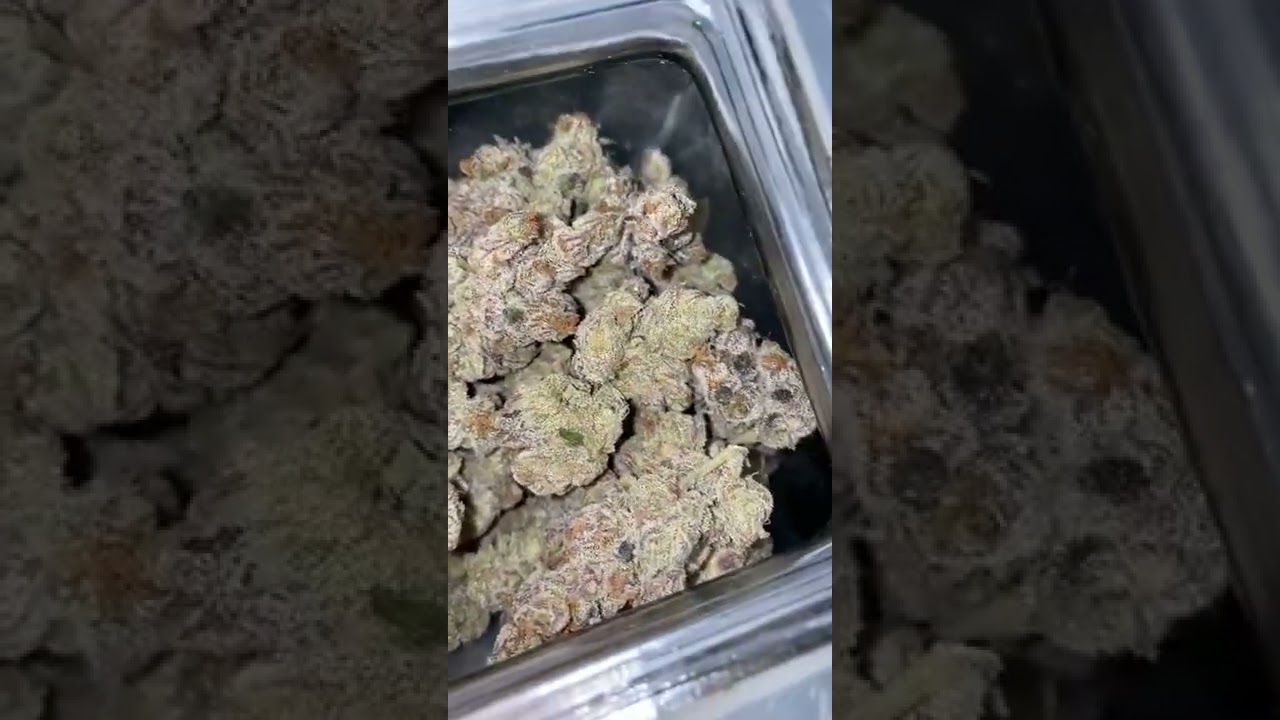 Apple Ztrudel (Apple Fritter x Runtz)