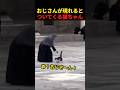 おじさんが現れるとついてくる猫ちゃん