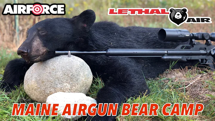Maine bear hunt with a Airforce Texan big bore airgun