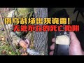 过于阴毒！俄乌战场上出现诡雷枪，一压子弹就会爆炸