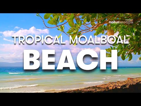 TROPICAL MOALBOAL WHITE BEACH | 1 HOUR OF RELAXING BEACH SOUNDS AMBIENT BACKGROUND NOISE