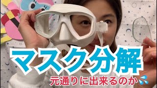 【マスク分解してみた】メンテナンスや度入りレンズ交換のためだよ✌️【ダイビングマスク】