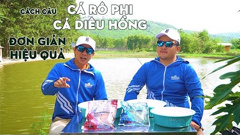 Bí Kíp Bài Mồi Câu Cá Rô Phi, Cá Diêu Hồng Đơn Giản, Hiệu Quả | VIETNAM FISHING