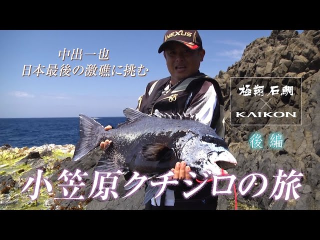 鯨と鯛 浮き玉 くじらL 鯨 クジラ 浮き球 陶器 水鉢 金魚鉢用