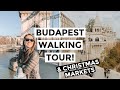 BUDAPEST CASTLE & CHRISTMAS MARKETS! Hungary Vlog