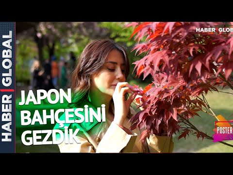 İstanbul'un Eşsiz Güzelliği: Baltalimanı Japon Bahçesi