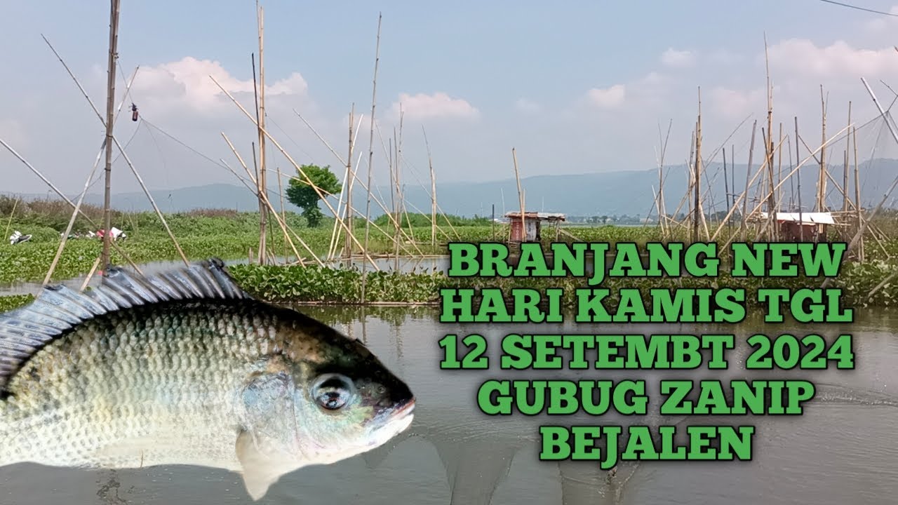 BRANJANG BEJALEN GUBUG ZANIP TGL 12 SEPTEMBER 2024,RAWA PENING AMBARAWA