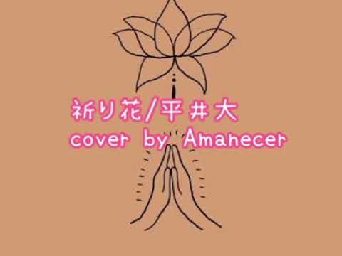 祈り花/平井大 cover by Amanecer