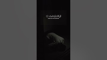 تلاوة من سورة فصلت بصوت القارئ عمر ضياء الدين
