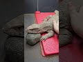 SO CUTE PETTING GENTLE GIANT PET LIZARD REPTILE DINOSAUR! 4K ASMR #shorts