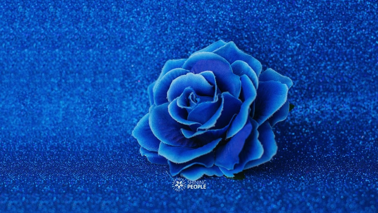 Pandechakra lydhealing - December overskud dag 19