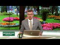 Візит Зеленського в США: до чого тут Єрмак | Великий ефір