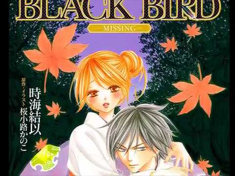Black Bird Missing Youtube