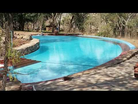 Zebras at swimming pool in Serengeti 2017 - YouTube