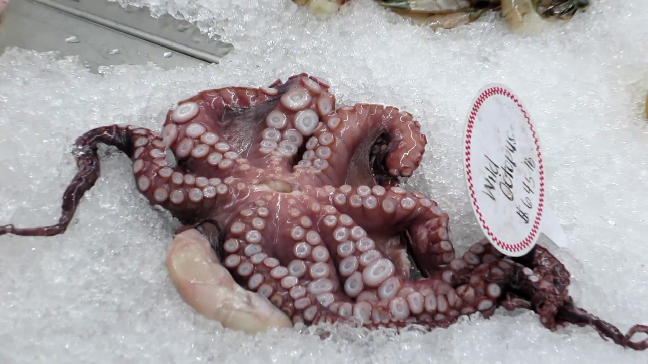 travel rock bariloche Time Passages - 29 Year Anniversary