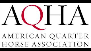 Hurricane Harvey: AQHA offers safety tips to horse owners