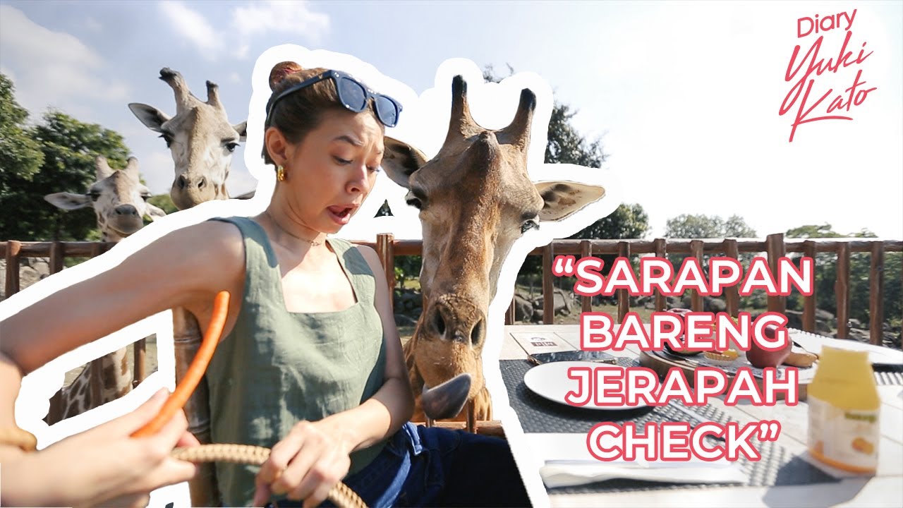Makan bareng jerapah? EMANG BISA?!?!