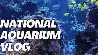 Dive into Adventure: Our Day at the National Aquarium Baltimore