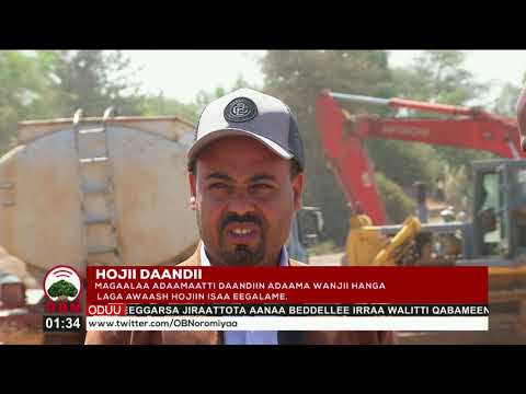 Daandii Adaamaa Wanjii Laga Awaash