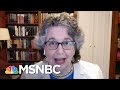 FEC Commissioner: America’s Election System Is Still ‘In The Horse and Buggy Age’ | MSNBC