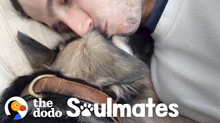 Scared Rescue Dog Slowly Falls In Love With Her New Dad | The Dodo Soulmates