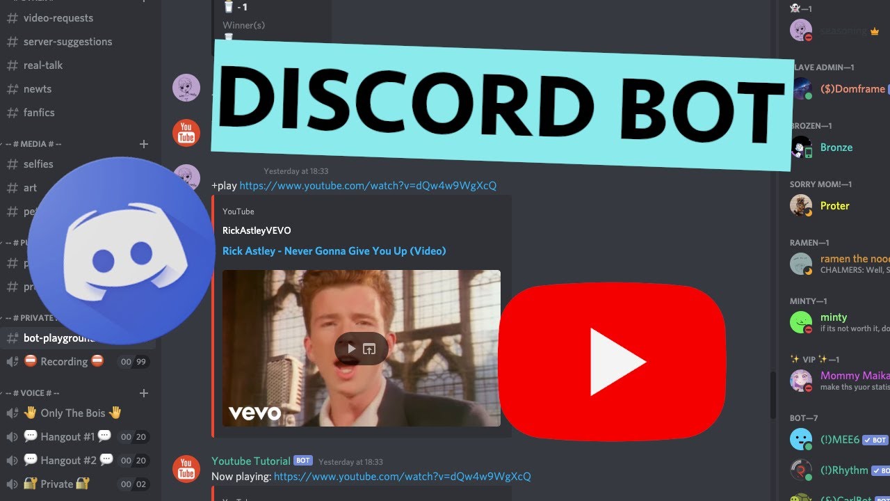 Музыкальный бот дискорд ютуб. Youtube bot discord. Хаус бот фото.