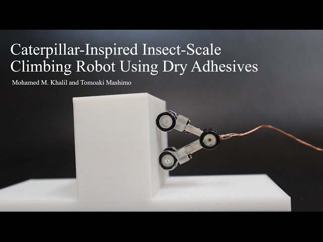 Caterpillar Inspired Insect Scale Climbing Robot Using Dry