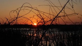Hot, humid day on tap in Central Fla.