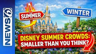 Disney Summer vs Winter Crowds — The Surprising Reality