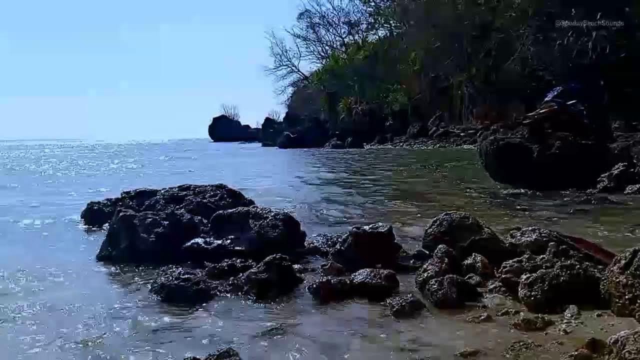 Relaxing Sound of Waves and Melodious Bird Sounds Relaxing Calm, Makes the Soul Relaxed & Prosperous