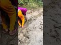 A village boy catching fish with his bare hands from the mud 😲