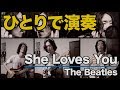 The Beatles "She Loves You" - Perform by me alone [Cover]