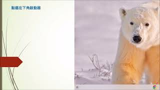 如何移除應用程式 Chrome Os