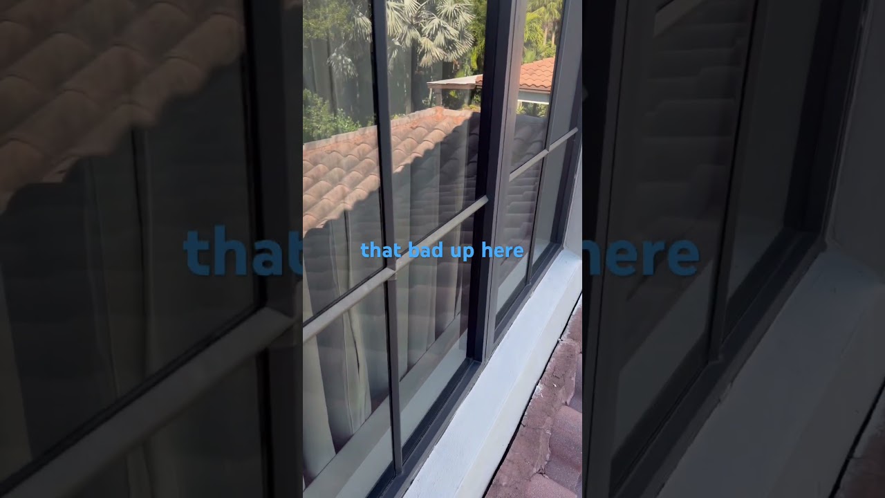 INSANE Roof Transformation! Soft Wash Before & After (Black Streaks GONE!)