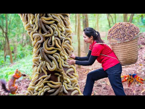 Ly Thi Hang : Harvesting Anaconda&#39;s Minions &amp; Go to Market Sell | simple guide Farming for beginners