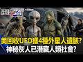 美回收UFO獲4種外星人遺骸！？ 蜥蝪人、螳螂人「神秘灰人」已潛藏人類社會！？【關鍵時刻】張炤和 傅鶴齡