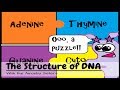 (OLD VIDEO) DNA Structure and Function