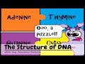 The Marvels of DNA: Structure, Function, and Cloning Insights