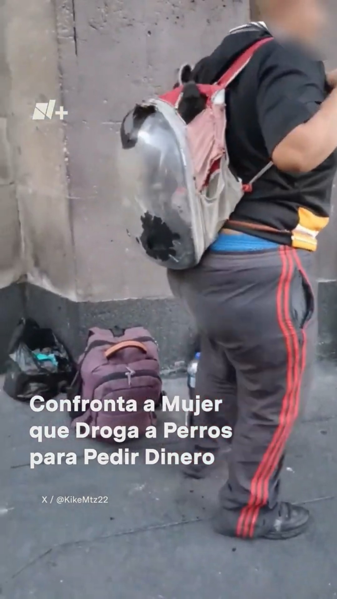 Confronta a mujer que droga a perros para pedir dinero #nmas #shorts #cdmx