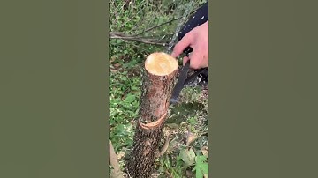 Wood sawing #work #asmr #LifeHack #satisfying