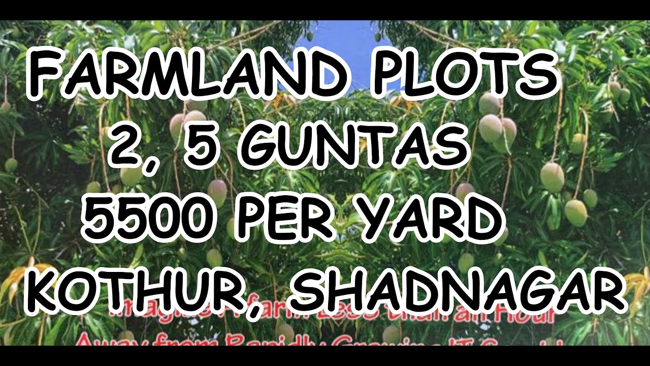 Farm Land for sale | KOTHUR  | SHADNAGAR | 5,499₹ yard | 2, 5 & 10 guntas | LowBudget