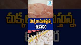 Chicken Prices Skyrocket in Telangana | Rates May Hit ₹400 Per Kg Soon!@SakshiTVDigital