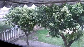 Vendo 2 Qtos 7ª Etapa Praia De Itaparica Vila Velhaes R160.000,00