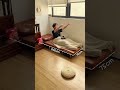 寝具を増やしたくない人必見!ソファベッドの本当の使い心地
