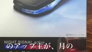 《俺の車！2後編》指令！愛車のセキュリティをアップしろ！（ほとんどおふざけ）