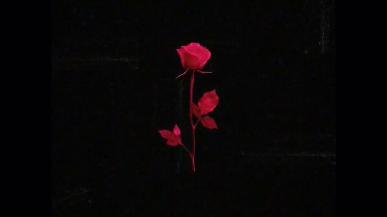 Purx|Feed Me Lies|(Prod.Purx)