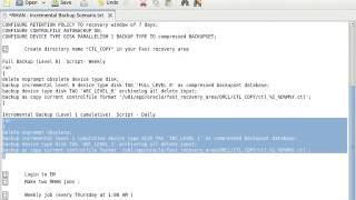 RMAN   Incremental Backup Scenario