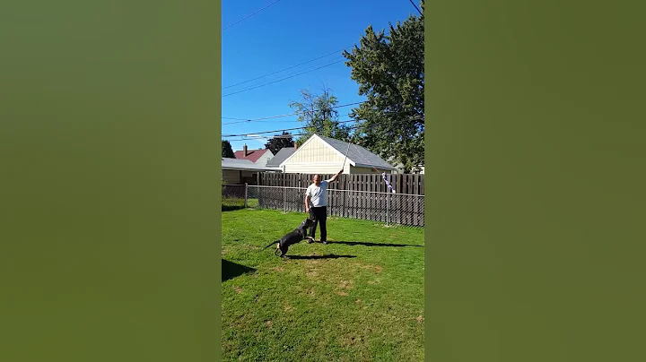 Fiona getting some fun exercise
