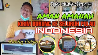 | Tips Aman kirim Burung Se Indonesia || Ongkir Terjangkau, Aman Amanah || Kholiq Cargo Solo |