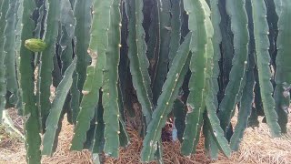 Chia sẻ tiết ngắt điện tháng 11 âm lịch